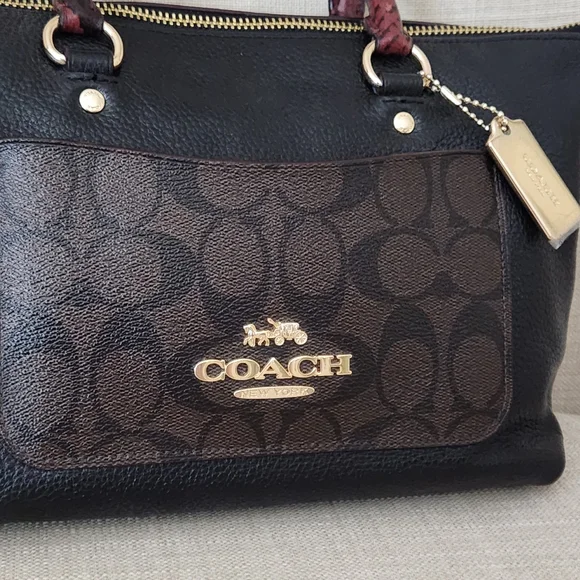 NWOT Coach Mini Emma Signature Python Accent Leather Satchel Crossbody🔥 F34281